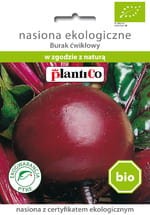 Burak ćwikłowy CZERWONA KULA nasiona BIO