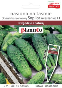 Ogórek BIO 2g