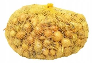 Cebula dymka Allium cepa Wolska 11-15mm 0,5kg