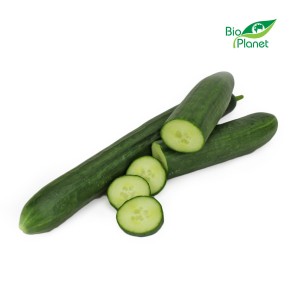Ogórek długi świeży BIO 1szt (około 0,25kg) 