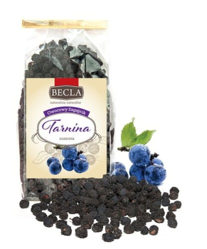 1_tarnina.webp