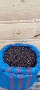 NASIONA GRYKI EKO 1 KG