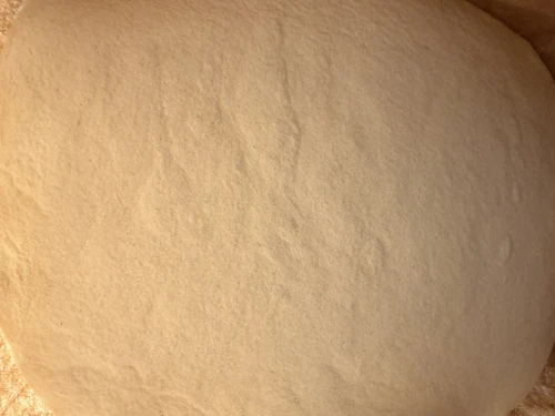 IMG_3063.jpeg